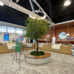 Cannabis Dispensary Los Angeles
