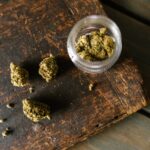top shelf bud los angeles